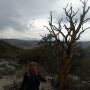 MonoBasin 028 : MonoBasin